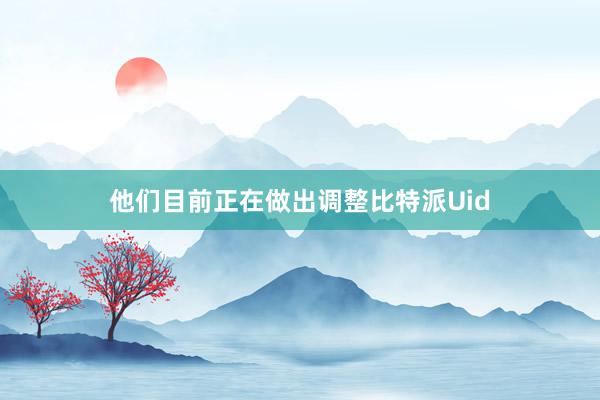 他们目前正在做出调整比特派Uid