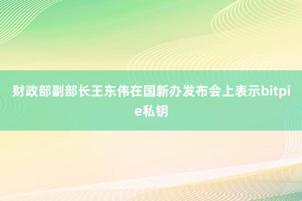 财政部副部长王东伟在国新办发布会上表示bitpie私钥