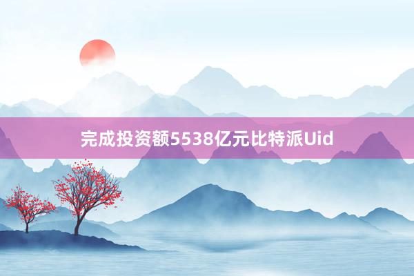 完成投资额5538亿元比特派Uid