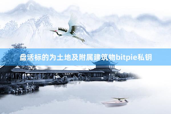 盘活标的为土地及附属建筑物bitpie私钥