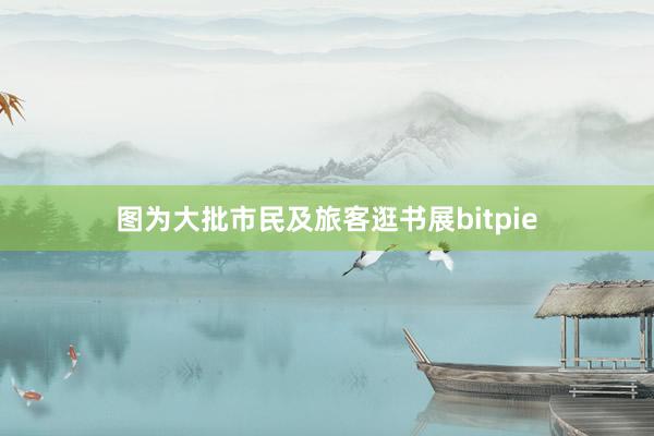 图为大批市民及旅客逛书展bitpie