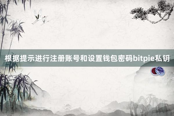 根据提示进行注册账号和设置钱包密码bitpie私钥