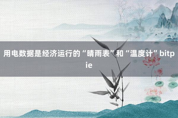 用电数据是经济运行的“晴雨表”和“温度计”bitpie