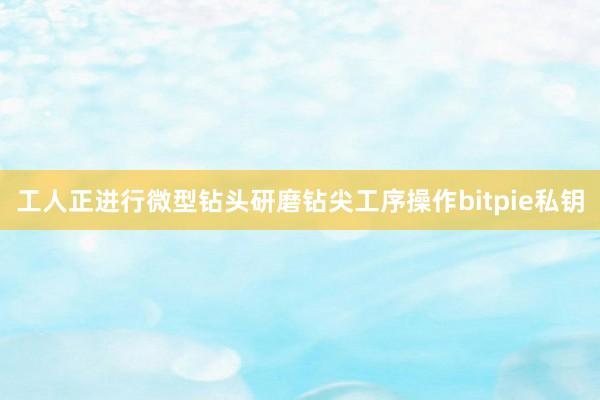 工人正进行微型钻头研磨钻尖工序操作bitpie私钥