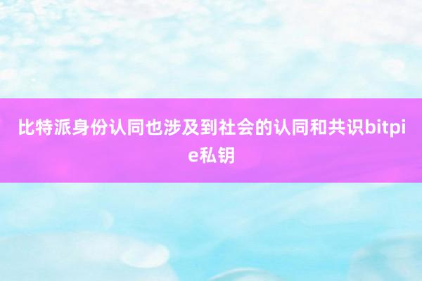 比特派身份认同也涉及到社会的认同和共识bitpie私钥