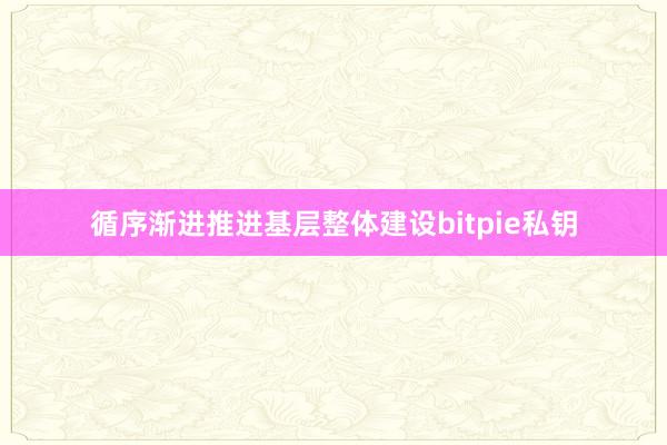 循序渐进推进基层整体建设bitpie私钥