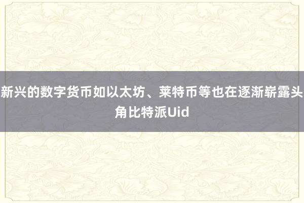 新兴的数字货币如以太坊、莱特币等也在逐渐崭露头角比特派Uid