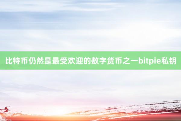 比特币仍然是最受欢迎的数字货币之一bitpie私钥