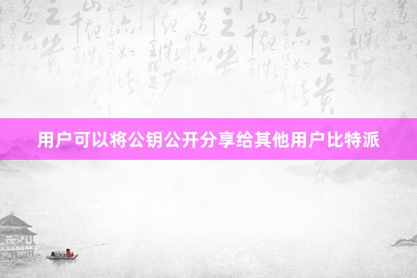 用户可以将公钥公开分享给其他用户比特派