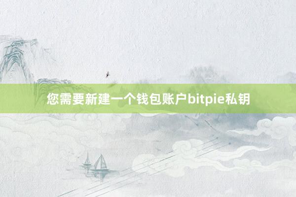 您需要新建一个钱包账户bitpie私钥