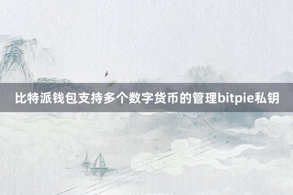 比特派钱包支持多个数字货币的管理bitpie私钥