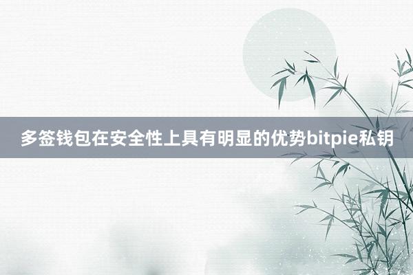 多签钱包在安全性上具有明显的优势bitpie私钥