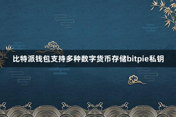 比特派钱包支持多种数字货币存储bitpie私钥