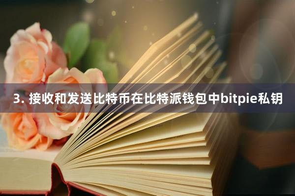 3. 接收和发送比特币在比特派钱包中bitpie私钥