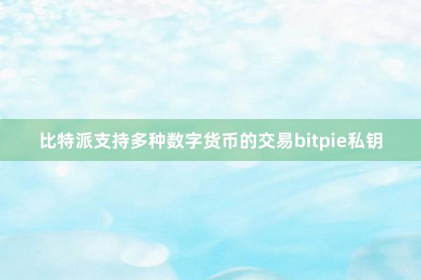 比特派支持多种数字货币的交易bitpie私钥