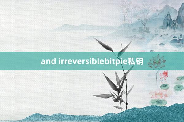 and irreversiblebitpie私钥