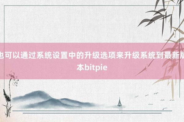 也可以通过系统设置中的升级选项来升级系统到最新版本bitpie