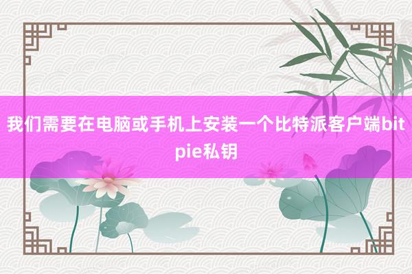 我们需要在电脑或手机上安装一个比特派客户端bitpie私钥