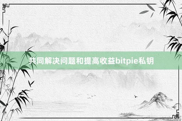 共同解决问题和提高收益bitpie私钥