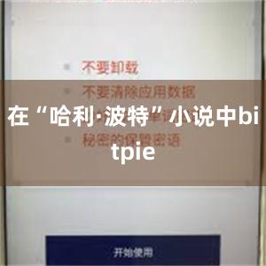 在“哈利·波特”小说中bitpie