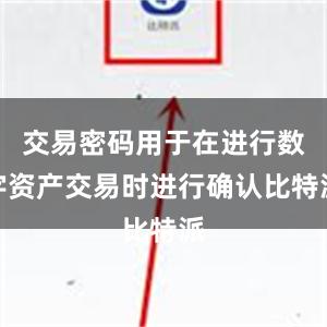 交易密码用于在进行数字资产交易时进行确认比特派