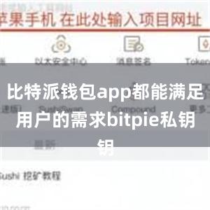 比特派钱包app都能满足用户的需求bitpie私钥