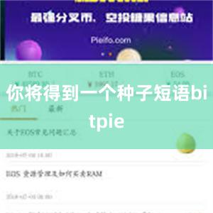 你将得到一个种子短语bitpie