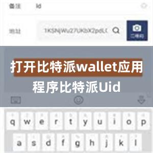 打开比特派wallet应用程序比特派Uid